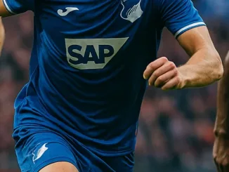 Hoffenheim Nederlandse speler